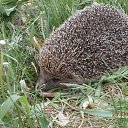 ���� ������, ����� - ��������� 31 ������� 2022 � ������ ���� ����������