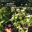 ���� �������, ������������� - ��������� 3 ���� 2022