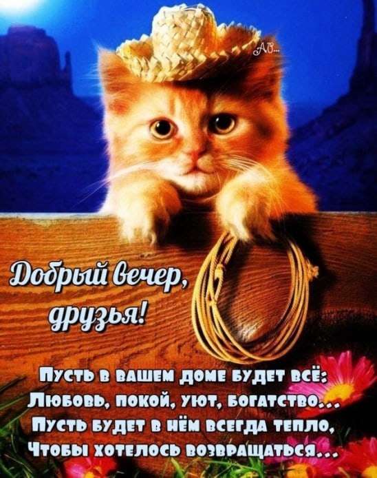   ,    . - 26  2022  19:16
