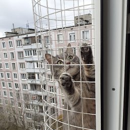 ���� �������, ������, 63 ���� - ��������� 18 ������� 2022