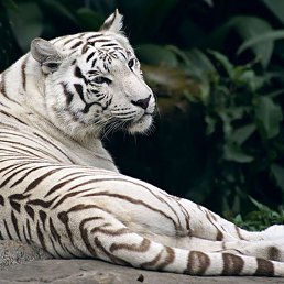 ������, ������, 46 ���