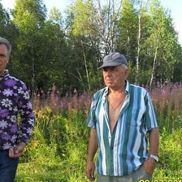 ���� ������, ����, 76 ��� - ��������� 28 �������� 2022