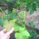 ���� �����, �����������, 47 ��� - ��������� 13 ���� 2022 � ������ ������ ��������