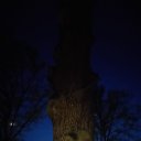 ���� �����, �����������, 64 ���� - ��������� 8 ��� 2022 � ������ ���� ����������