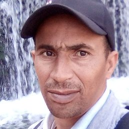 Kamel, , 40 