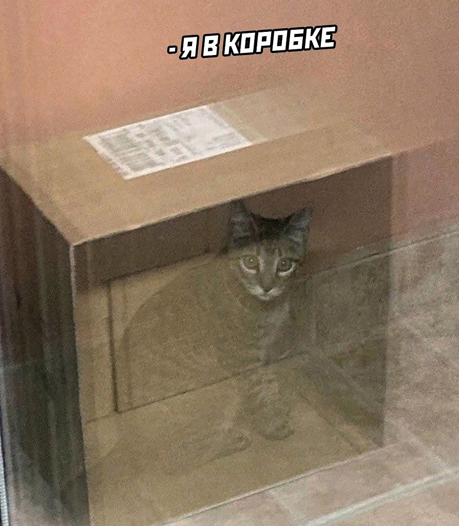  ).  ,    ) - 2