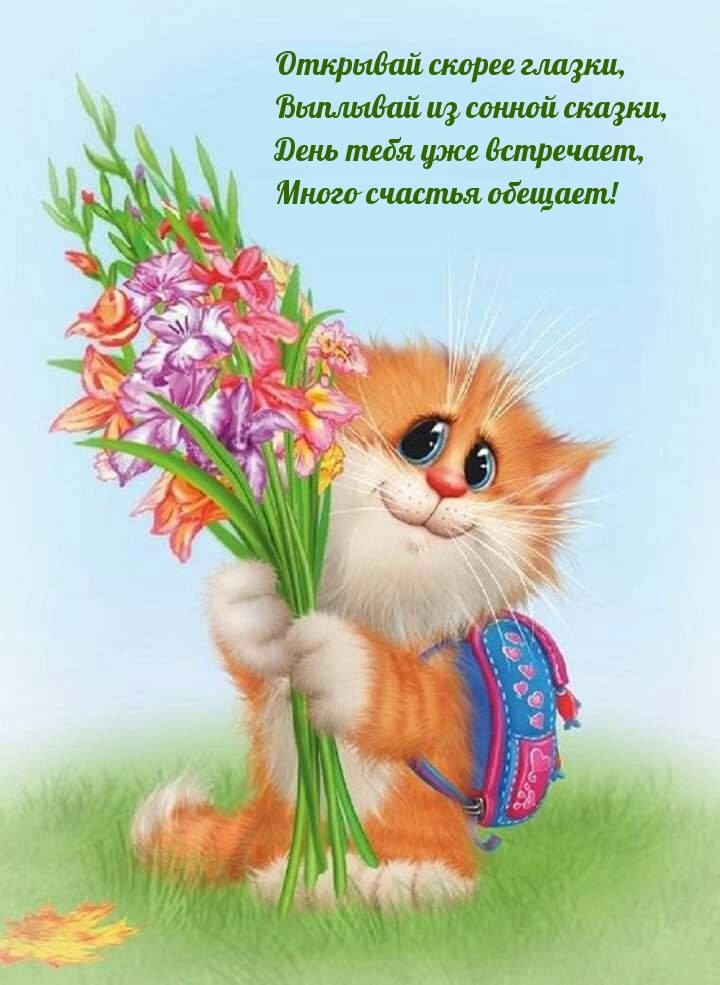 ПРИВЕТСТВИЯ и ПОЖЕЛАНИЯ, открытки на каждый день. - 24 июля 2022 в 00:35