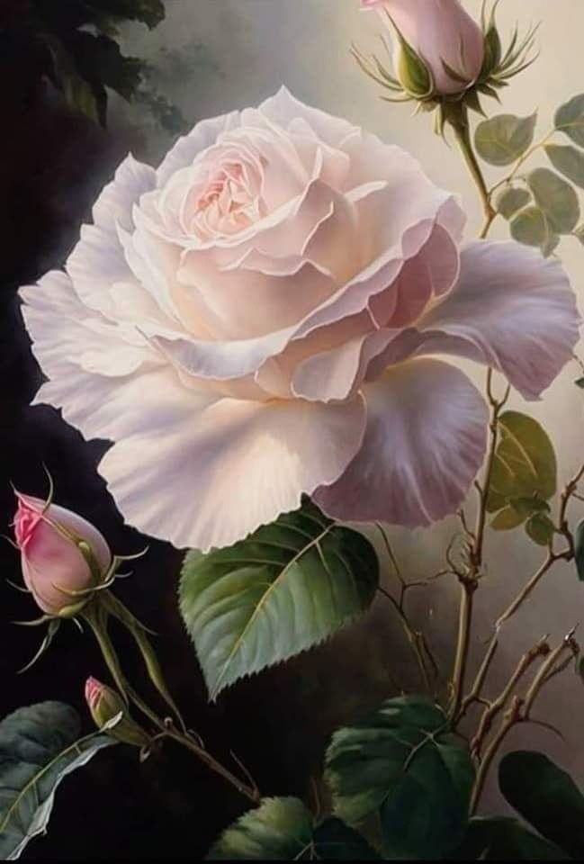 ��� ���� - 5 ������� 2023 � 21:16