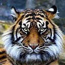  Andrey,  -  16  2022    