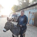 ���� ����, ���������, 38 ��� - ��������� 14 ������� 2023 � ������ ���� ����������