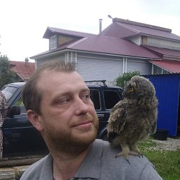 �������, �������, 44 ����