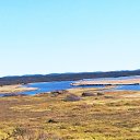 ���� ������, ����-���������, 43 ���� - ��������� 6 ������� 2022