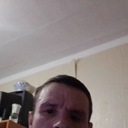 ������, ������, 46 ���