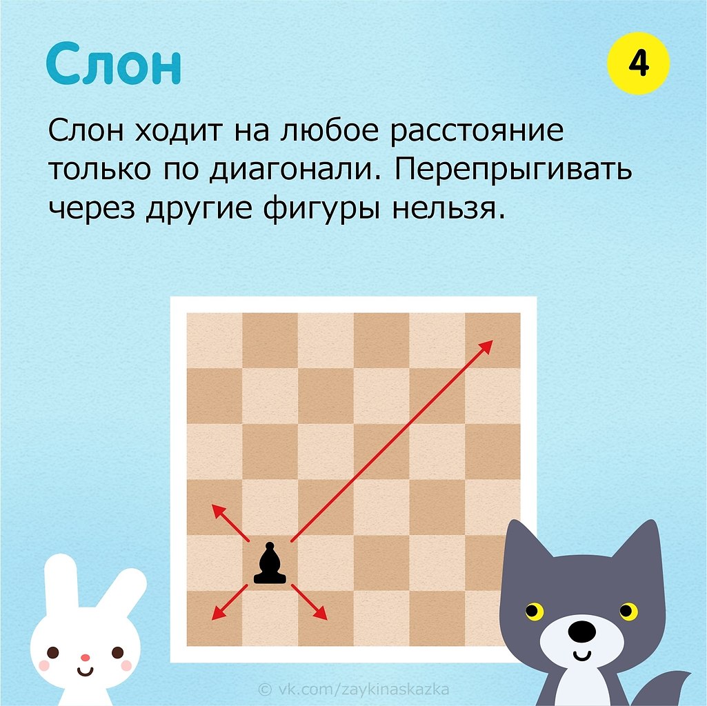      15 . ap     .   ... - 5