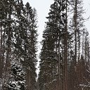 ���� �����, ������, 43 ���� - ��������� 13 ������� 2022 � ������ ���� ����������