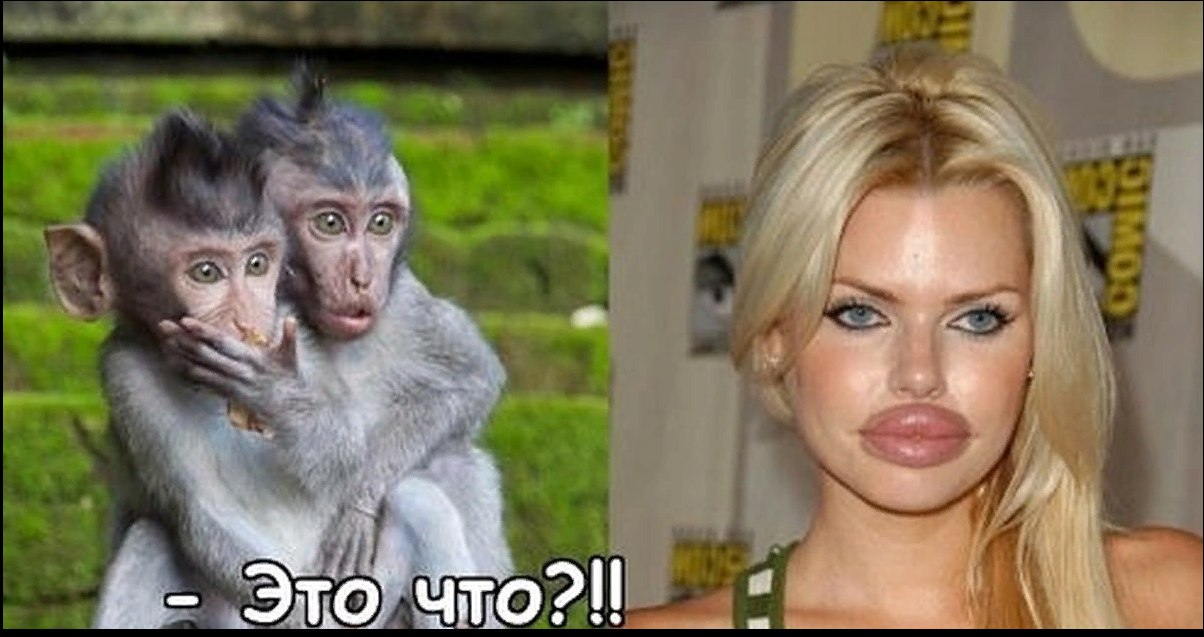 -    ,    ? -      ,   ...