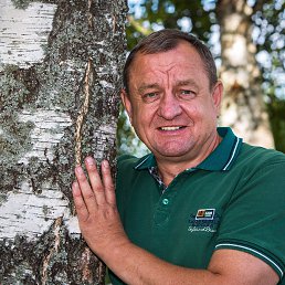 ���� ����, �������, 61 ��� - ��������� 12 �������� 2022