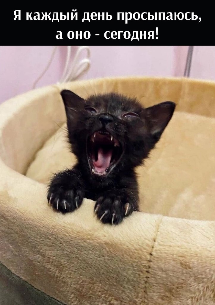       - 21  2022  22:33 - 3