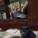 ���� �������, ������, 58 ��� - ��������� 7 �������� 2022 � ������ ���� ����������