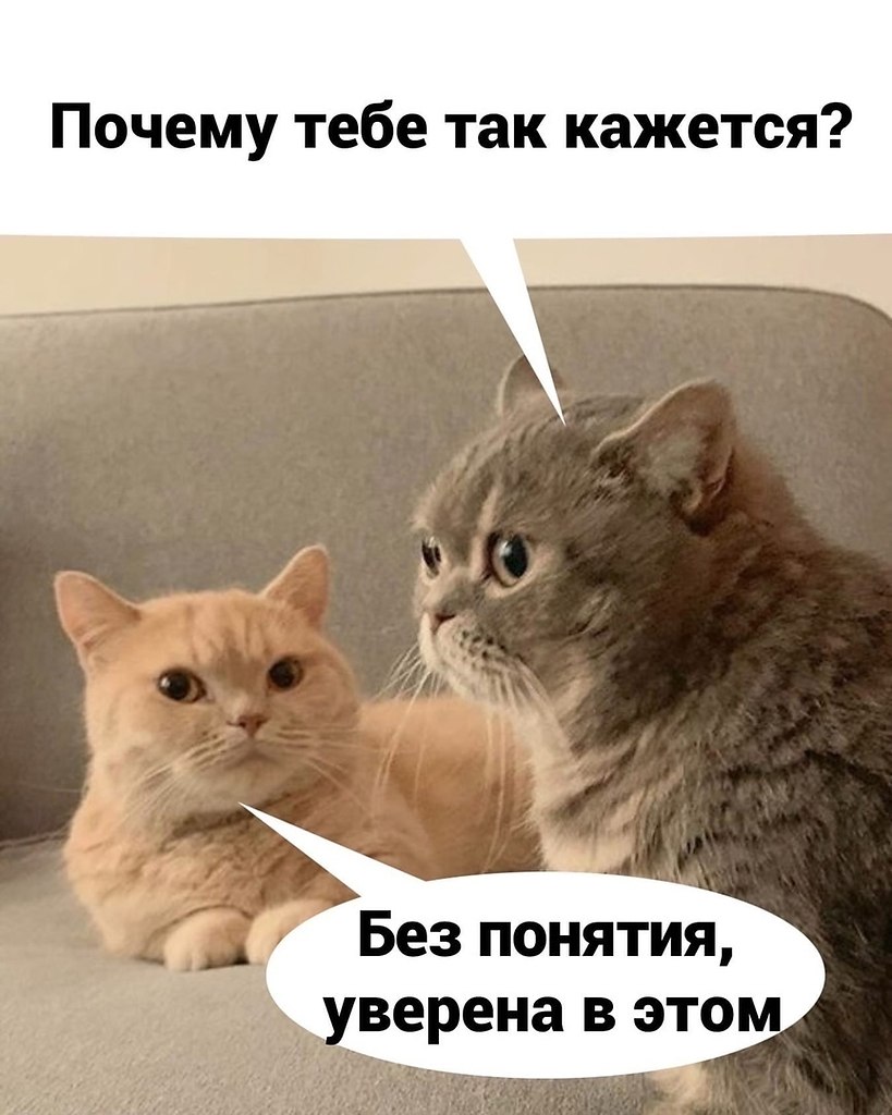����� ��� ������� ������ - 2