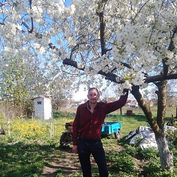 �������, �����, 33 ����