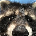 ���� Bmv, ��������, 59 ��� - ��������� 5 ������ 2022 � ������ ���� ����������