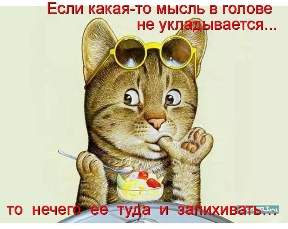 Моя жена пару недель назад в какой-то акции выиграла презервативы светящиеся... Пытались ...