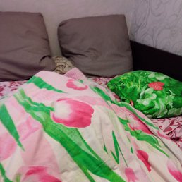 ���� ����������, �����������, 37 ��� - ��������� 20 ������ 2023