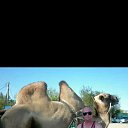 ���� ������, ��������, 62 ���� - ��������� 10 ������ 2022