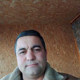 ���� ����, �������������-����������, 43 ���� - ��������� 27 ������� 2022