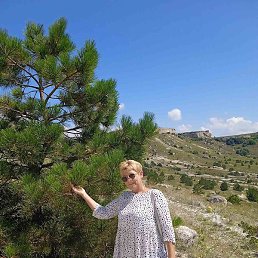 ������, �����������, 53 ����