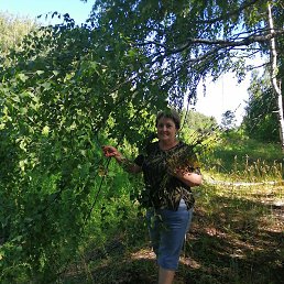 ����, �������, 59 ���