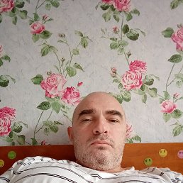 ���� ����, �����������, 48 ��� - ��������� 23 ������� 2022