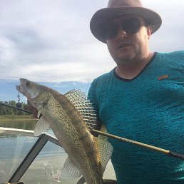 ����, ������, 78 ���