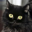 ���� �����, �����-���������, 59 ��� - ��������� 7 ������ 2022 � ������ ���� ����������