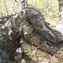 ���� �������, �����������, 63 ���� - ��������� 13 ����� 2022 � ������ ���� ����������