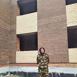 ����, ������, 38 ���