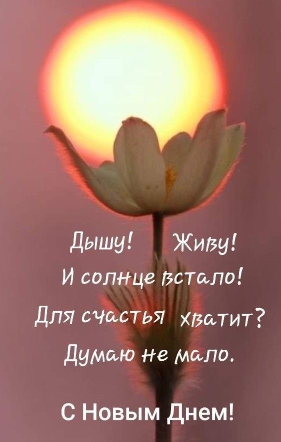  - 25  2022  11:00