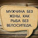 ���� ��������, ����, 68 ��� - ��������� 22 ���� 2022 � ������ ������ ��������