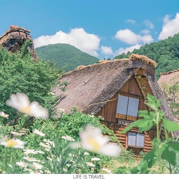 ���������� ������������ ��������� ��������� Akine Coco - 4