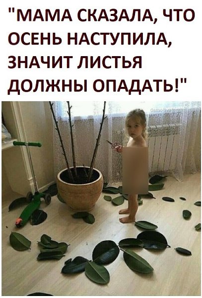  - 15  2022  22:59
