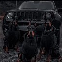 ���� ˸����, �����, 26 ��� - ��������� 12 ������ 2023