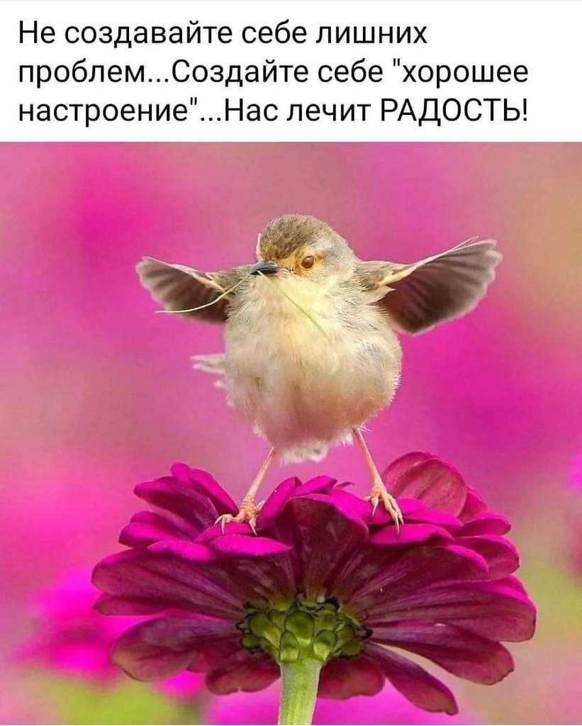   - 18  2022  10:39