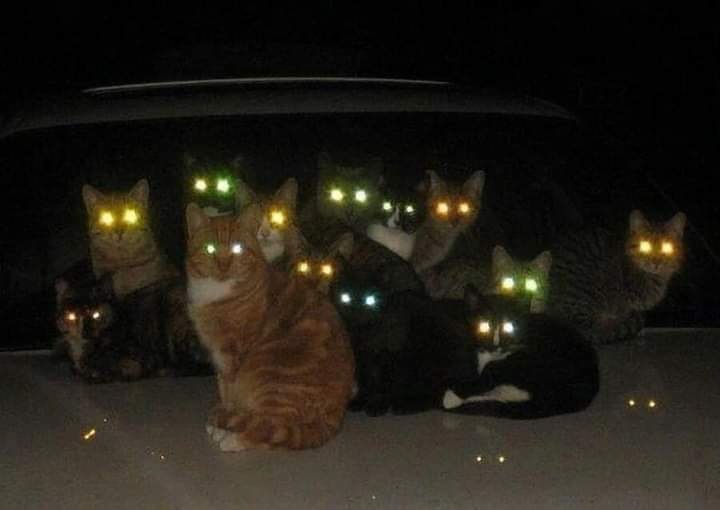 :)  .    ,       .   ...