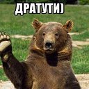 ���� ����, �����������, 50 ��� - ��������� 5 �������� 2022 � ������ ���� ����������