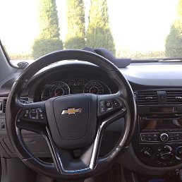 ������, �������, 44 ����