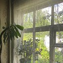 ���� ���������, ����������, 22 ���� - ��������� 3 �������� 2022 � ������ ��������� ����������:3�