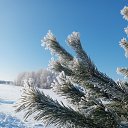 ���� ������, �����, 38 ��� - ��������� 11 ������� 2022 � ������ ���� ����������