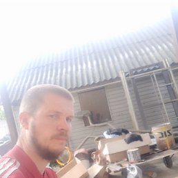 ������, �����, 37 ���