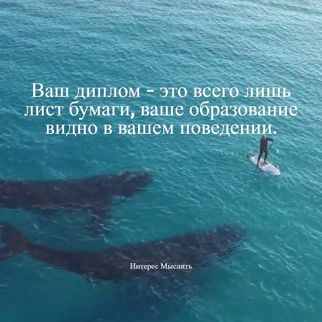  - 14  2022  00:11